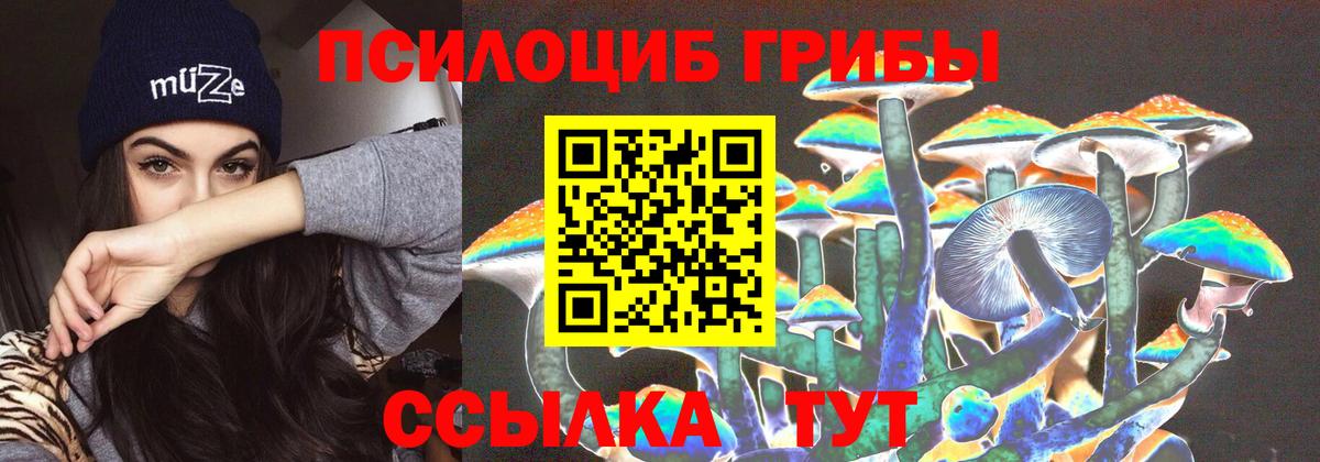 Псилоцибиновые грибы GOLDEN TEACHER  Вход с VPN  Рузаевка  Псилоцибиновые грибы Psilocybe 